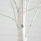 3ft. Pre-Lit White Birch Artificial Tree, Warm White LED Lights